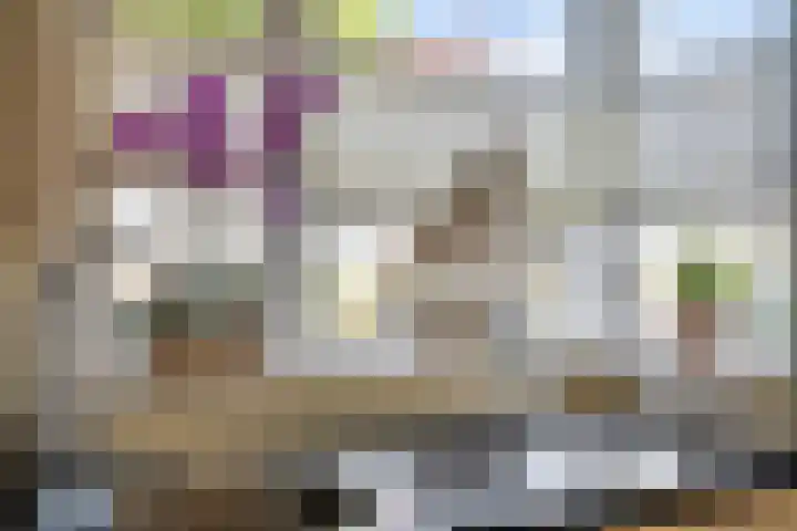 Rietven 65 Deurne thumbnail 19