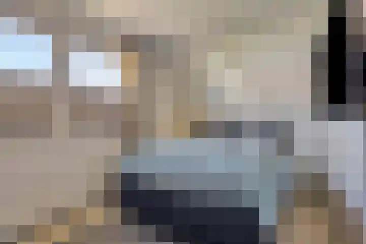 Rietven 65 Deurne thumbnail 22