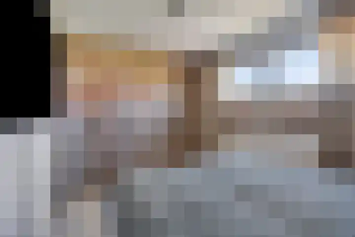 Rietven 65 Deurne thumbnail 23