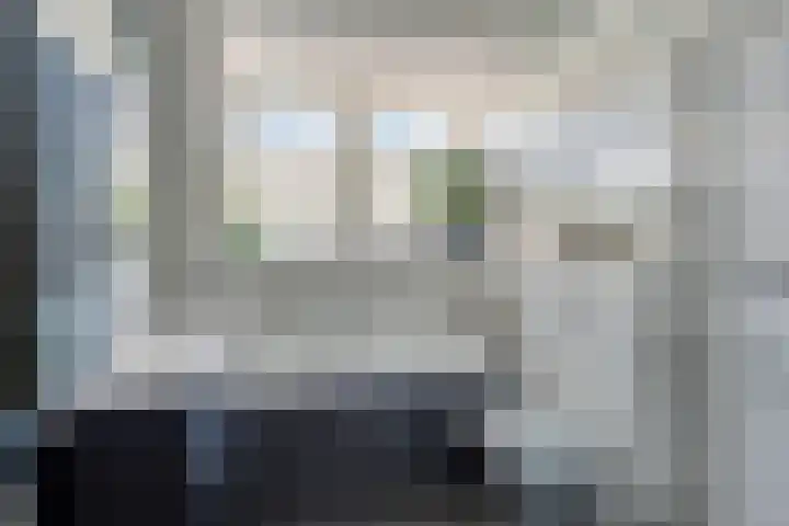 Rietven 65 Deurne thumbnail 24