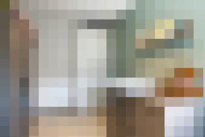 Rietven 65 Deurne thumbnail 27