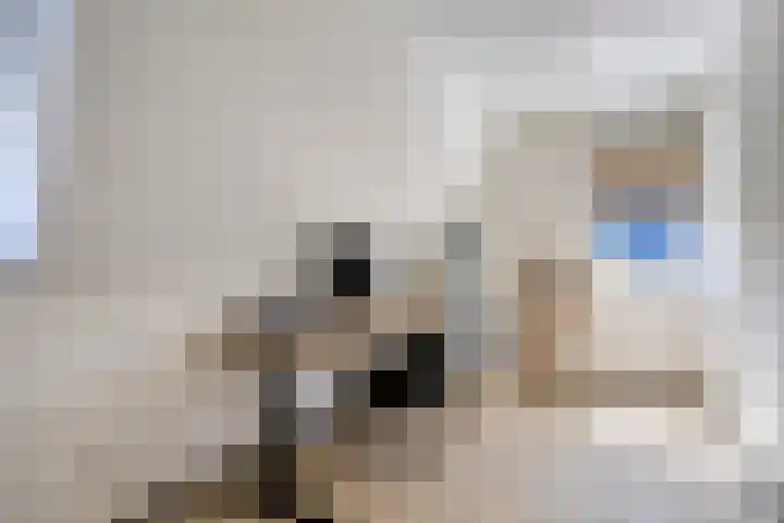 Rietven 65 Deurne thumbnail 29