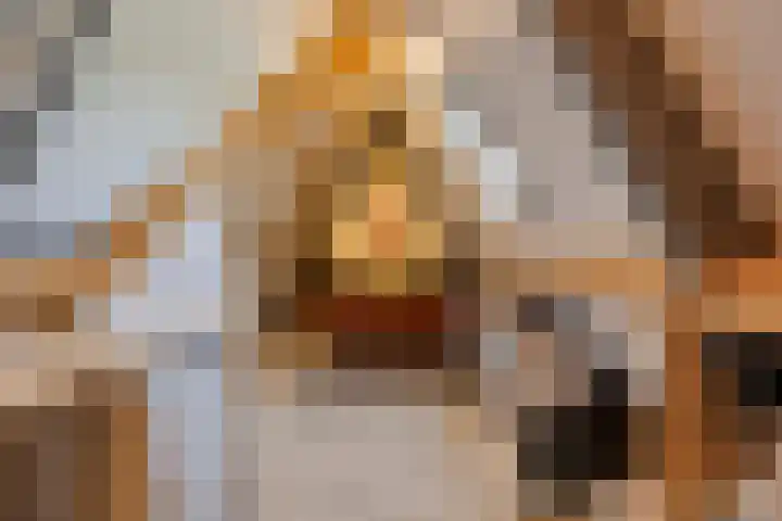 Rietven 65 Deurne thumbnail 31