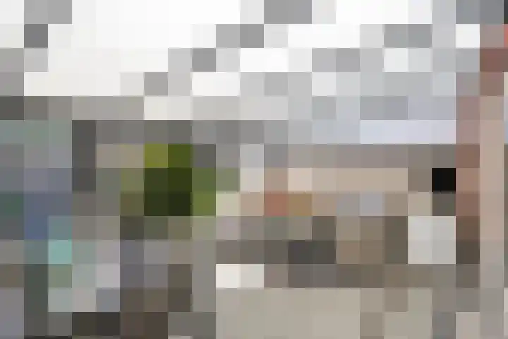 Rietven 65 Deurne thumbnail 32