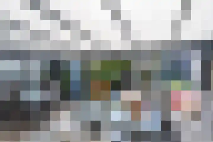 Rietven 65 Deurne thumbnail 33