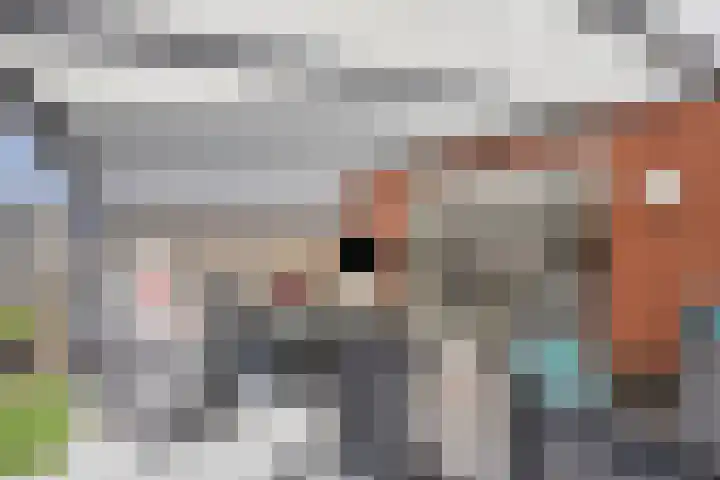 Rietven 65 Deurne thumbnail 34
