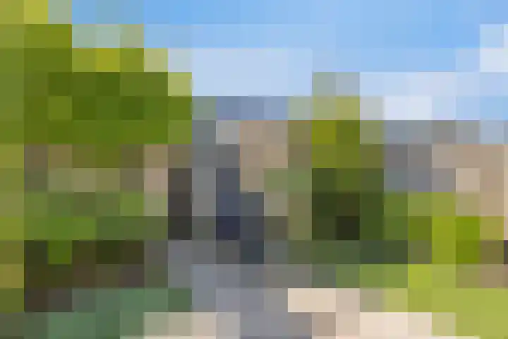 Rietven 65 Deurne thumbnail 35