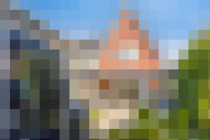 Rietven 65 Deurne thumbnail 36