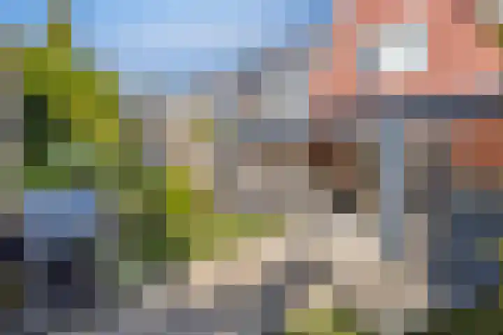 Rietven 65 Deurne thumbnail 37