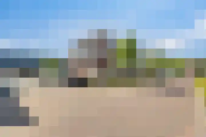 Rietven 65 Deurne thumbnail 38