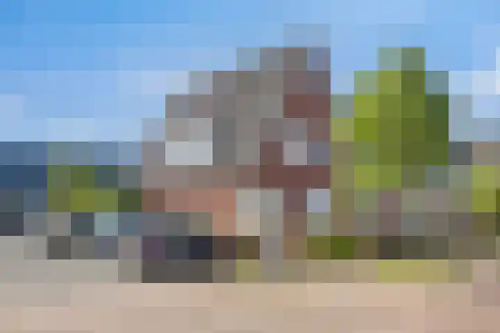 Rietven 65 Deurne thumbnail 39