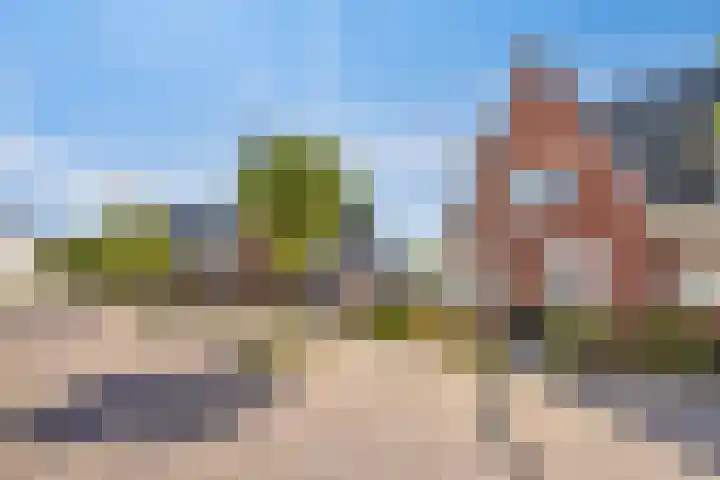 Rietven 65 Deurne thumbnail 40