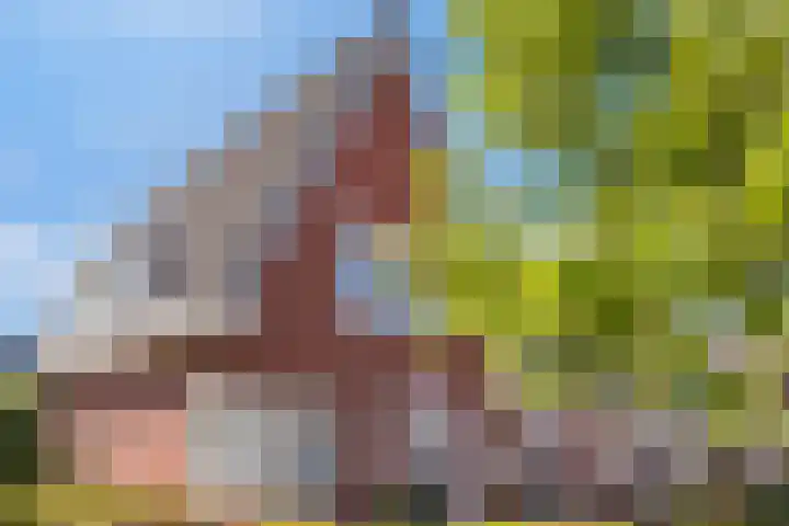 Rietven 65 Deurne thumbnail 41
