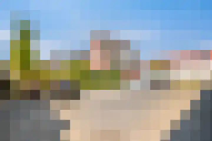 Rietven 65 Deurne thumbnail 42