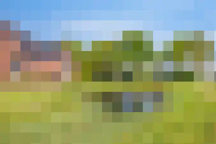 Rietven 65 Deurne thumbnail 43