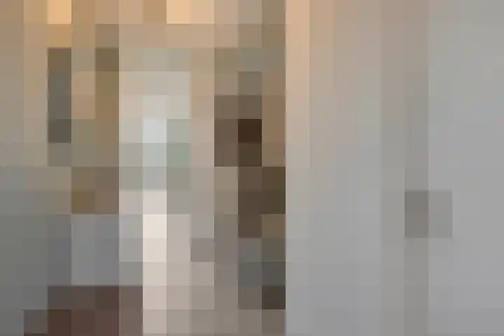 Rietven 65 Deurne thumbnail 6
