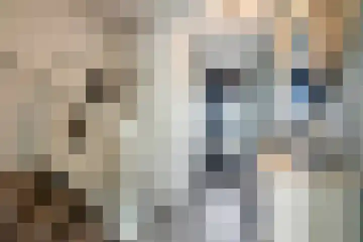 Rietven 65 Deurne thumbnail 7