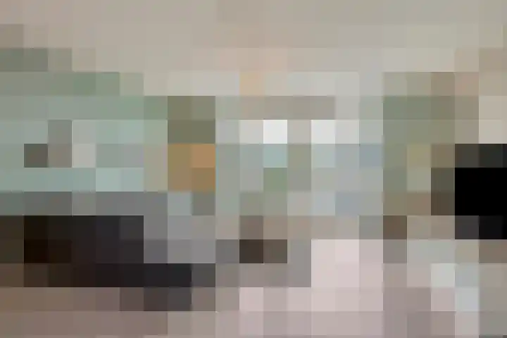 Rietven 65 Deurne thumbnail 8