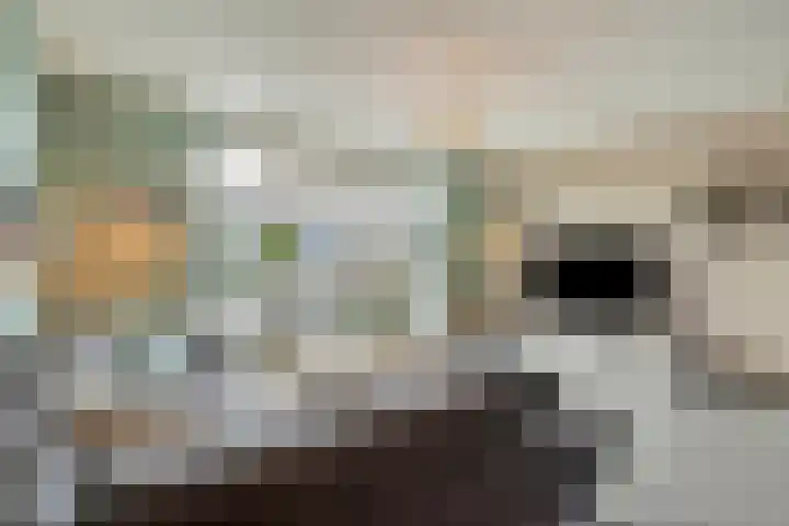Rietven 65 Deurne thumbnail 9