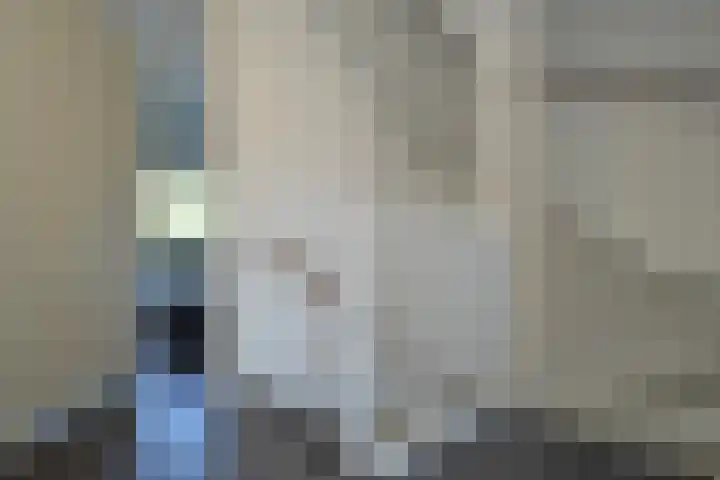 Rietven 66 Deurne thumbnail 11