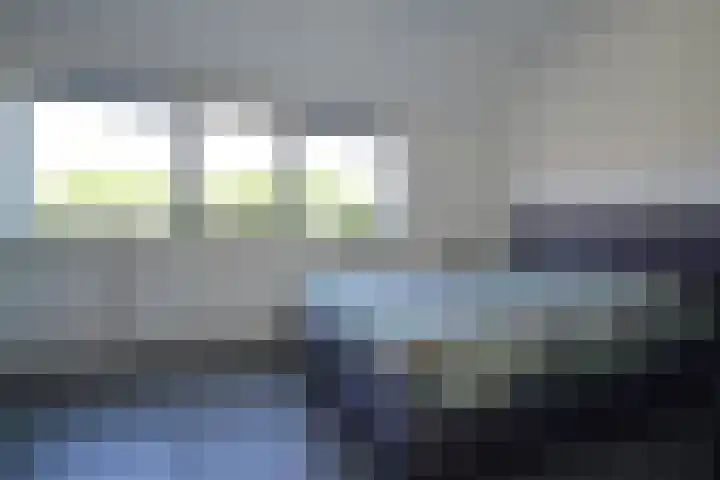 Rietven 66 Deurne thumbnail 12
