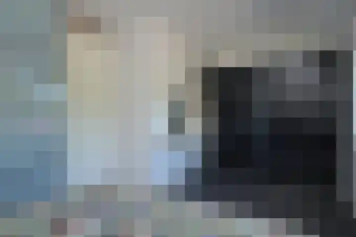 Rietven 66 Deurne thumbnail 14