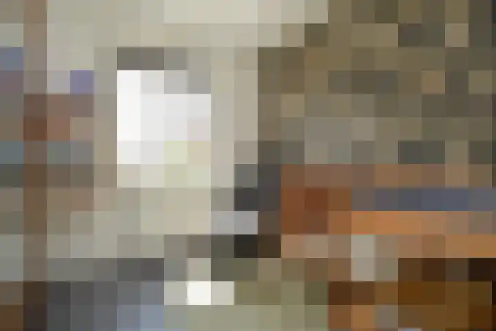 Rietven 66 Deurne thumbnail 15