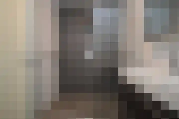 Rietven 66 Deurne thumbnail 18