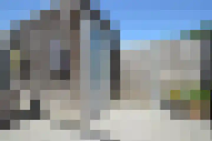 Rietven 66 Deurne thumbnail 24