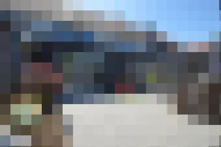 Rietven 66 Deurne thumbnail 25