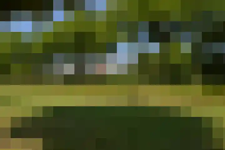 Rietven 66 Deurne thumbnail 27