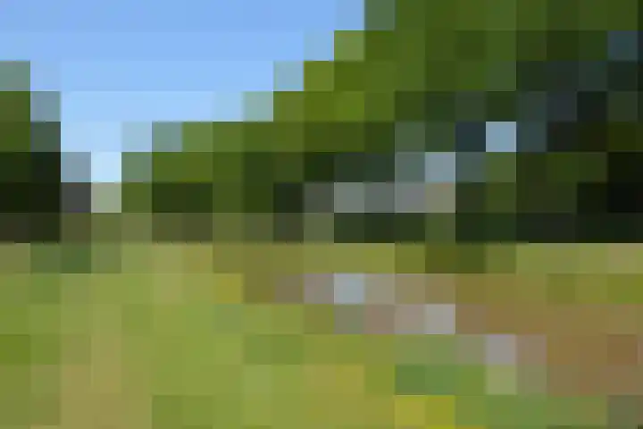 Rietven 66 Deurne thumbnail 28