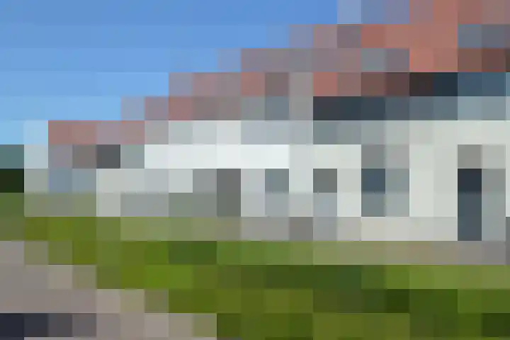 Rietven 66 Deurne thumbnail 31
