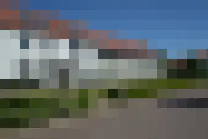 Rietven 66 Deurne thumbnail 32