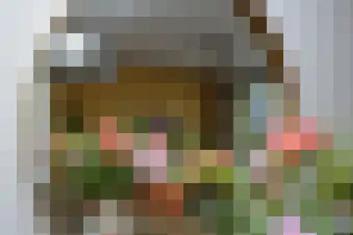 Rietven 66 Deurne thumbnail 4