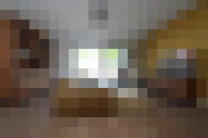 Rietven 66 Deurne thumbnail 5