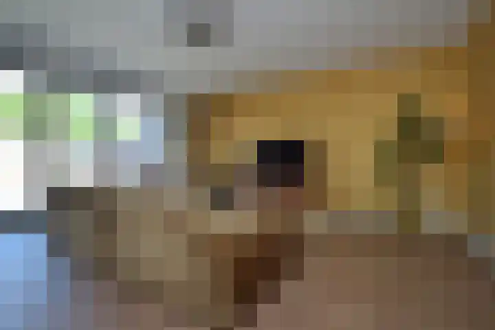 Rietven 66 Deurne thumbnail 7