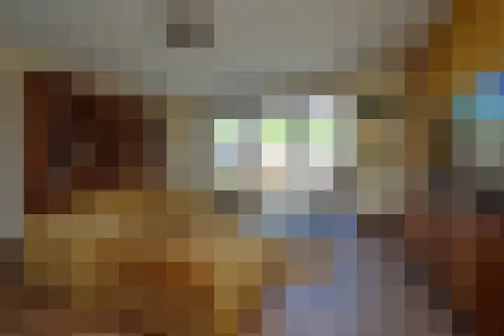 Rietven 66 Deurne thumbnail 8