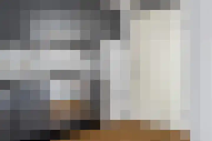 Rietven 8 Veghel thumbnail 13