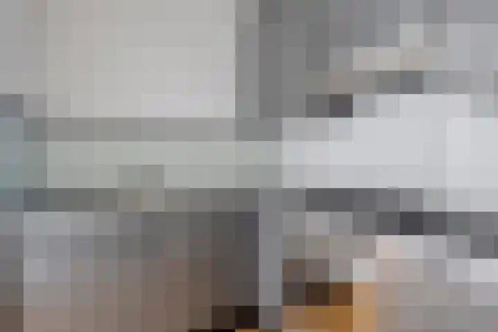 Rietven 8 Veghel thumbnail 14