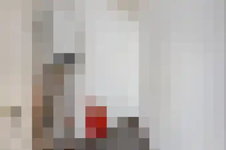 Rietven 8 Veghel thumbnail 15