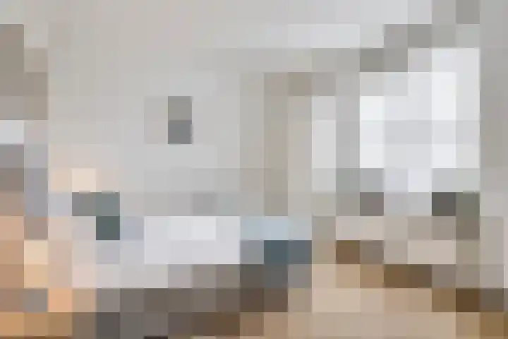 Rietven 8 Veghel thumbnail 17