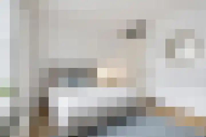 Rietven 8 Veghel thumbnail 19