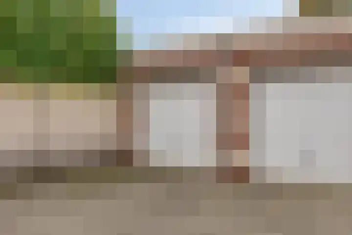 Rietven 8 Veghel foto 2