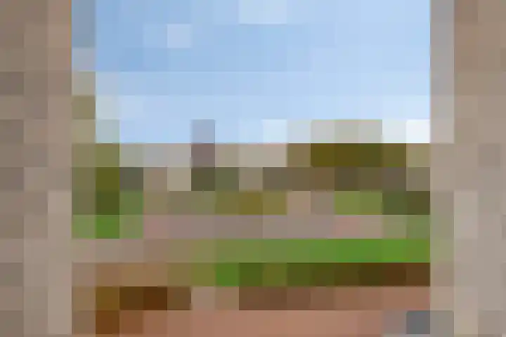 Rietven 8 Veghel thumbnail 24
