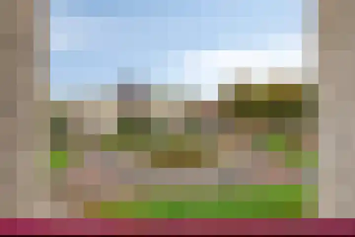 Rietven 8 Veghel thumbnail 25