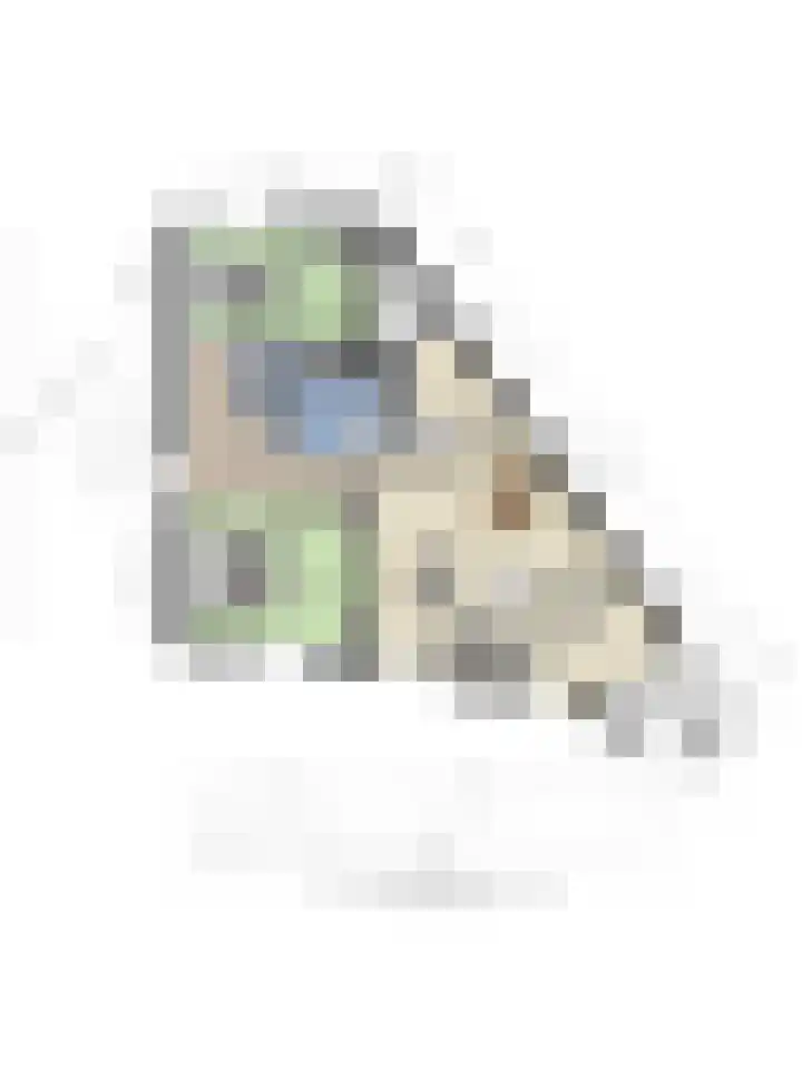 Rietven 8 Veghel thumbnail 29