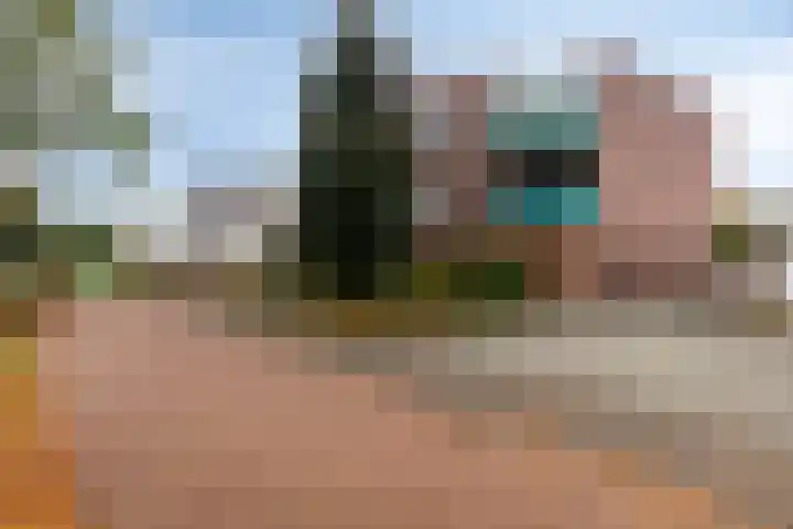 Rietven 8 Veghel thumbnail 9