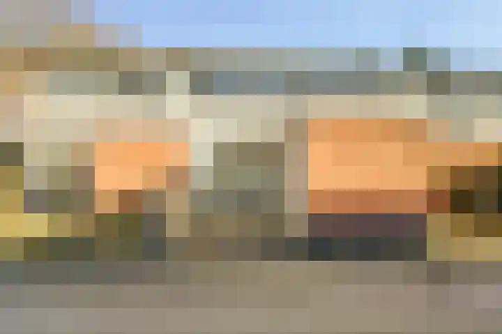 Rietzoom 10 Gouda