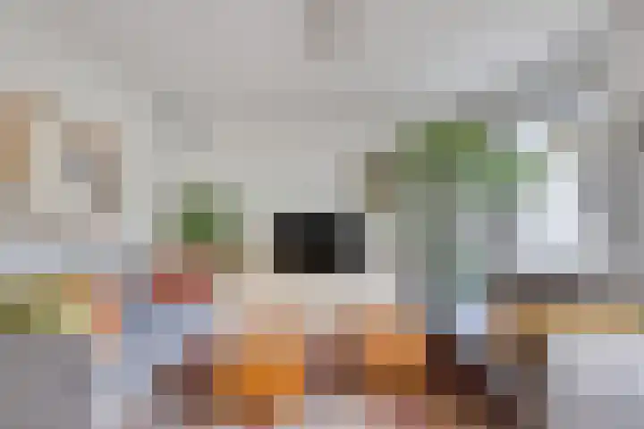 Rietzoom 14 Meppel thumbnail 10